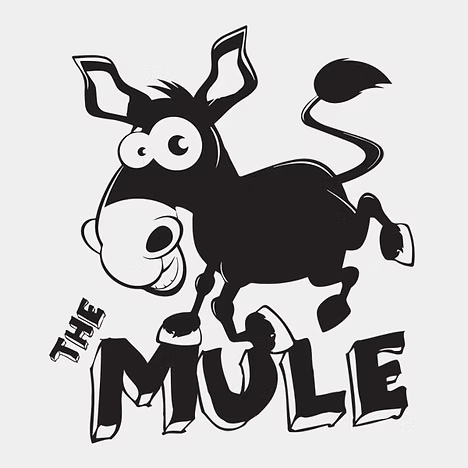 Mule